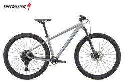 Specialized Rockhopper Expert 29 Satin Silver Dust / Black Holographic