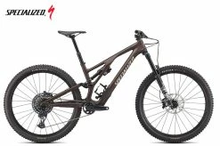 Specialized Stumpjumper Evo Comp Satin Doppio / Sand