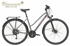 DIAMANT Elan Deluxe Trapez 2022 Graphitgrau