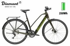 Diamant 365 Deluxe Trapez Oxidgrün Metallic 2023